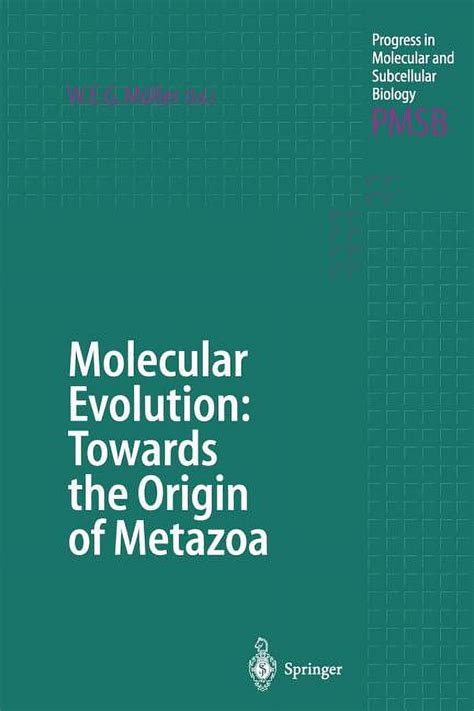 Molecular Evolution Towards the Origin of Metazoa Doc