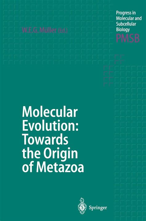 Molecular Evolution Towards the Origin of Metazoa Doc