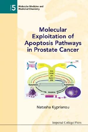 Molecular Exploitation of Apoptosis Pathways in Prostate Cancer Kindle Editon