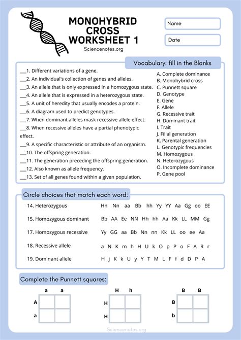 Molecular Genetics Activity Answer Key Reader