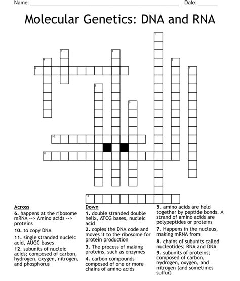 Molecular Genetics Review Crossword Answers PDF