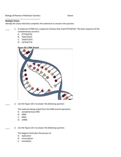 Molecular Genetics Review Sheet Answers Epub