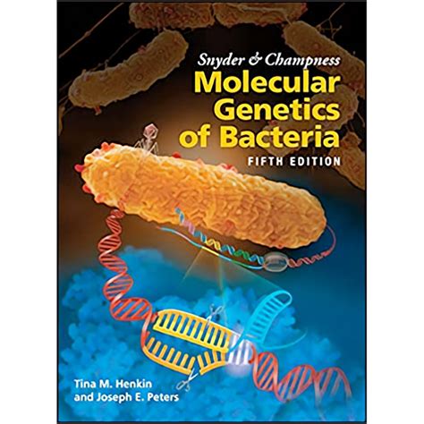 Molecular Genetics of Bacteria Doc