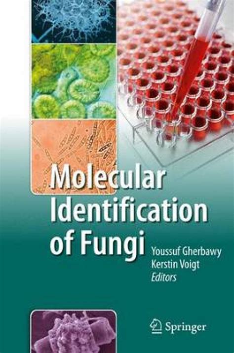Molecular Identification of Fungi 1st Edition Epub