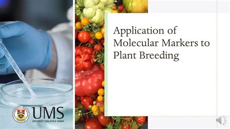 Molecular Marker Systems in Plant Breeding and Crop Improvement 1 Edition Epub