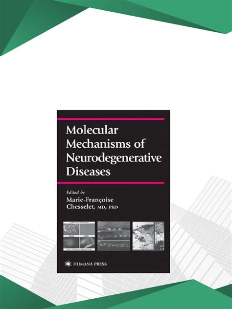 Molecular Mechanisms of Neurodegenerative Diseases 1st Edition Epub