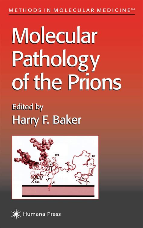 Molecular Pathology of the Prions 1st Edition Kindle Editon