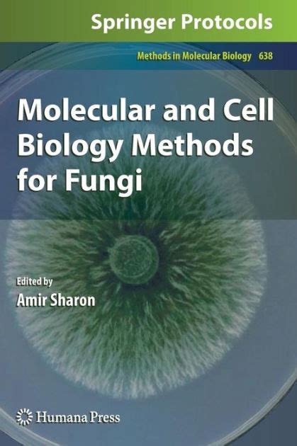 Molecular and Cell Biology Methods for Fungi 1st Edition Reader