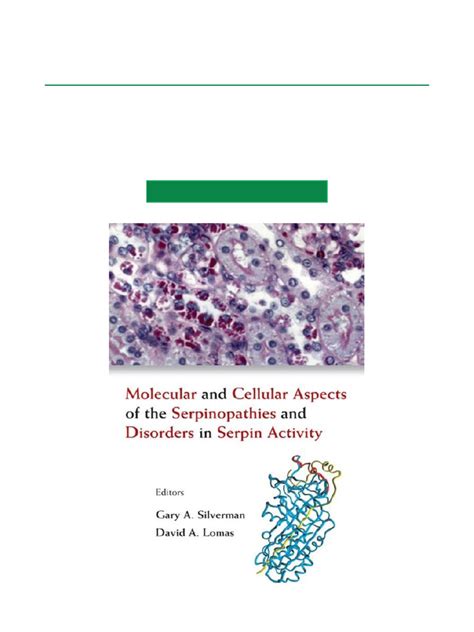 Molecular and Cellular Aspects of the Serpinopathies and Disorders in Serpin Activity Reader