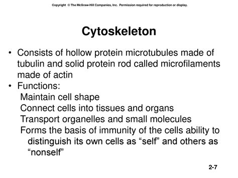 Molecules of the Cytoskeleton Illustrated Edition Doc