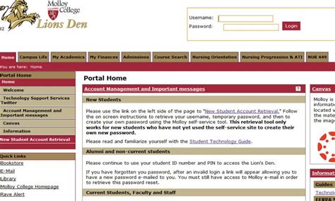 Molloy Lions Den: Igniting Innovation in the Heart of Dublin