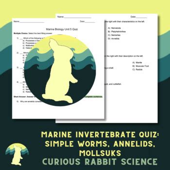 Mollusk And Annelids Review Guide Answers PDF