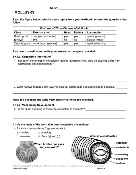 Mollusk Review Answers PDF