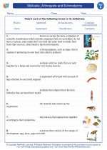 Mollusks Arthropods And Echinoderms Test Answer Key Doc