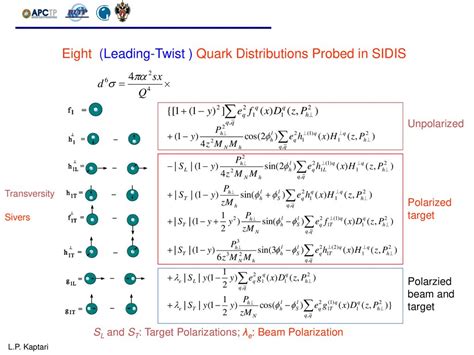 Momentum Distributions 1st Edition Doc