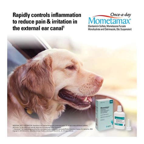 Mometamax for Dogs: A Comprehensive Guide for Pet Owners