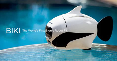 Momosuke: The Air-Breathing Robot Fish