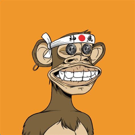 Monkey Crypto