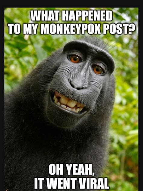 Monkey Pox Meme: 10000+ to Know