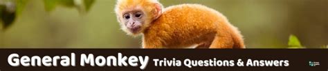 Monkey Trivia Questions And Answers Reader