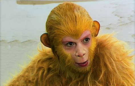 Monkey in a Wig: The Uncrowned King of the Jungle