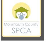 Monmouth County SPCA: A Haven for Animals in Eatontown, New Jersey