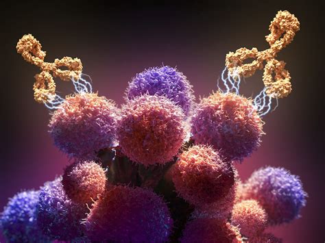 Monoclonal Antibodies and Cancer PDF