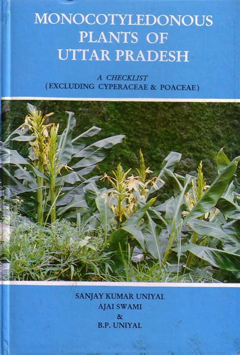 Monocotyledonous Plants of Uttar Pradesh A Checklist : Excluding Cyperaceae and Poaceae 1st Edition PDF