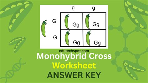 Monohybrid Cross Answer Key Epub