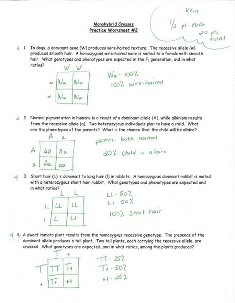 Monohybrid Cross Problems 2 Answers PDF
