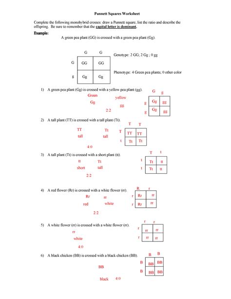 Monohybrid Cross Problems With Solution PDF