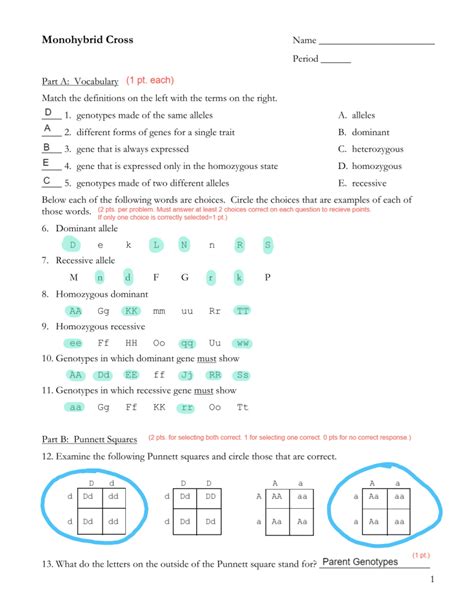 Monohybrid Cross Worksheet With Answers Doc