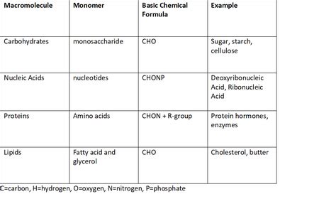 Monomer Polymer Chart
