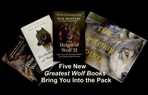 Montana Wolves 4 Book Series Doc