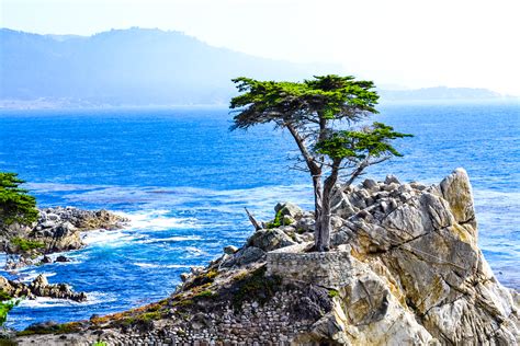 Monterey Peninsula: A Nature's Haven