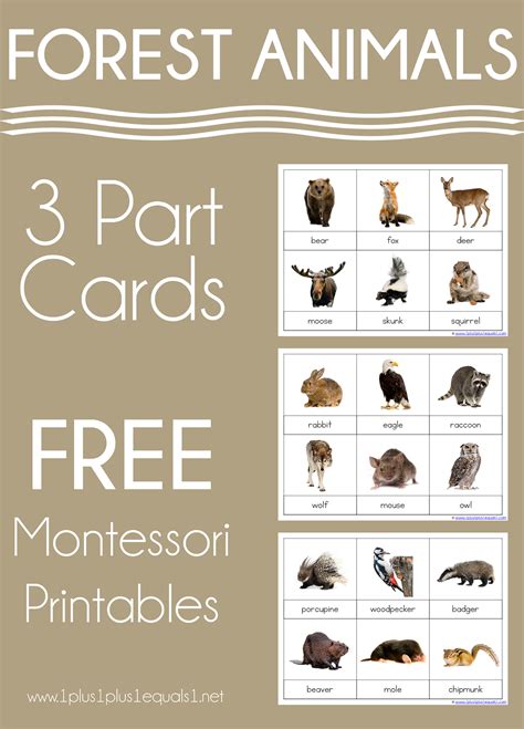 Montessori Printable