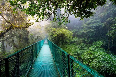 Monteverde Costa Rica: Explore the Cloud Forest Paradise