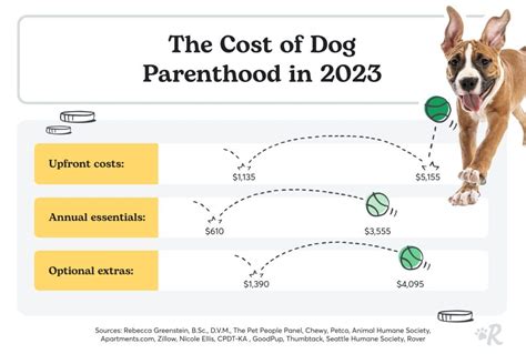 Monthly Cost of Keeping a Dog in 2025: Breaking Down the Expenses