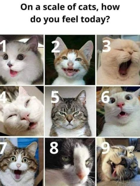 Mood Scale Meme: Your Ultimate Guide to Expressing Your Emotions