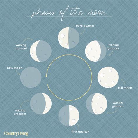 Moon Phases 101: A Comprehensive Guide to the 8 Phases Today