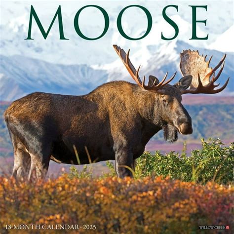 Moose Calendar Willow Creek Press Reader