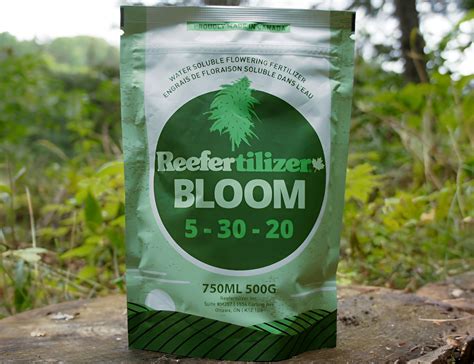 More Bloom Fertilizer: 6 Tips for Abundant Blooms