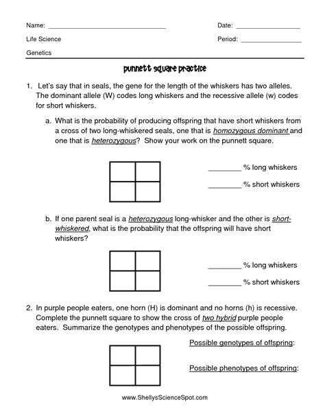 More Punnett Square Practice Worksheet Answers Epub