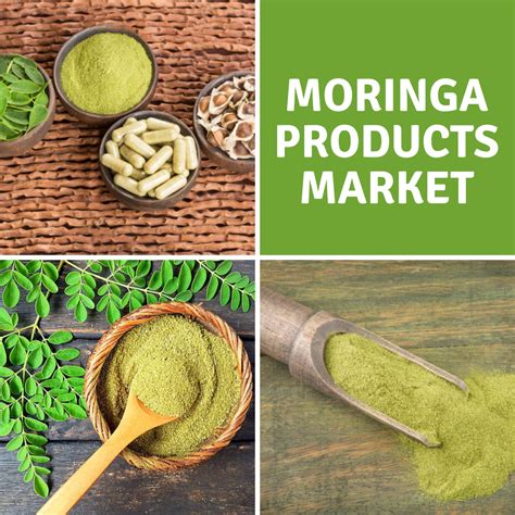 Moringa: A Nutritional Powerhouse