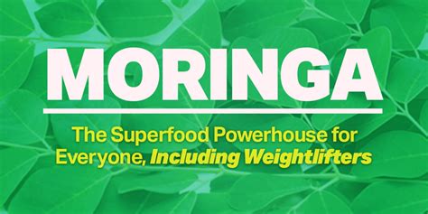 Moringa Plant: A Superfood Powerhouse in Singapore