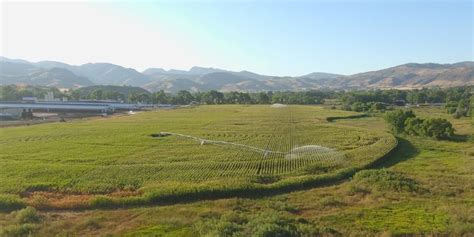 Morning Fresh Dairy Farm: 10,000 Acres of Pristine Pastures