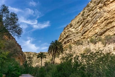 Moroccan Amethyst: Unveiling the Enchanting Gemstone from the Atlas Mountains