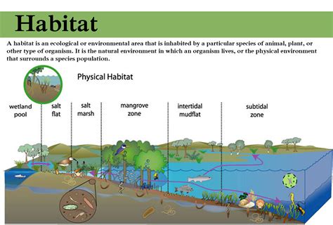 Morphology and Habitat