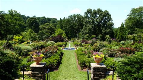 Morris Arboretum: