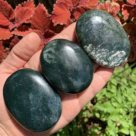 Moss Agate Crystal Meaning: A Verdant Talisman of Grounding and Growth